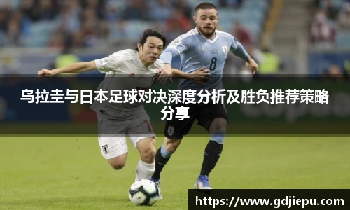 v66官网