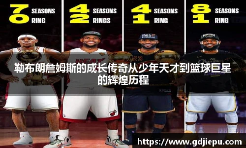v66官网