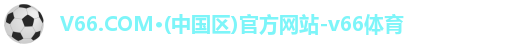 v66官方网站